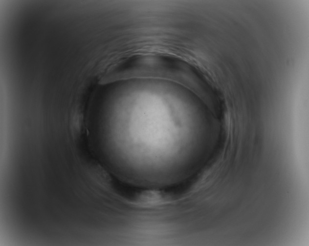 X0000089350227200706151107