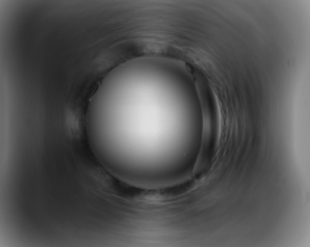 X0000089350228200706151107