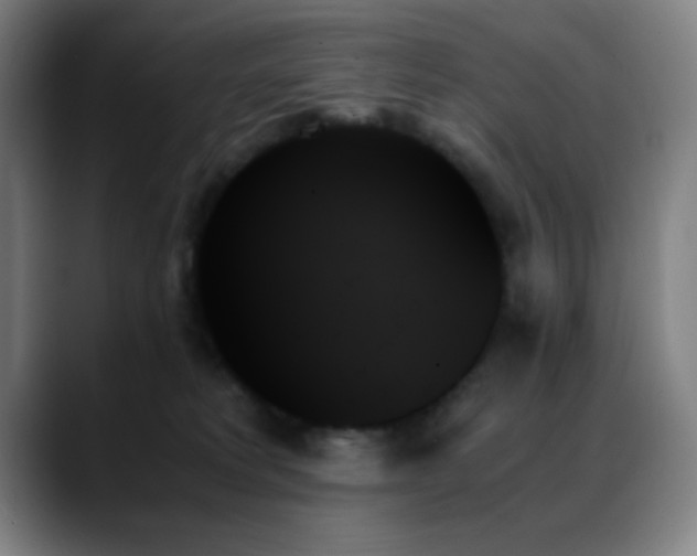X0000089350229200706151107