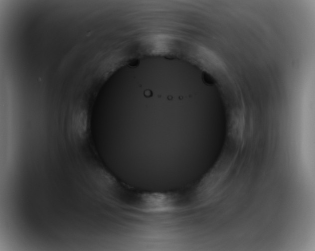 X0000089350230200706151107