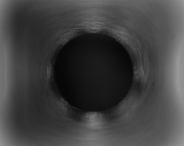X0000089350231200706151107