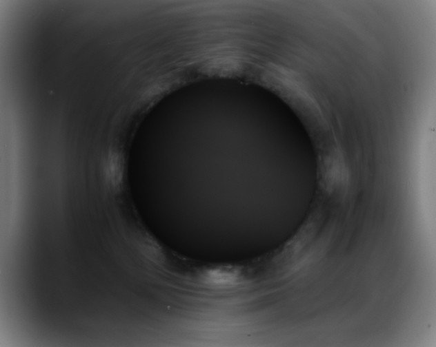 X0000089350232200706151107