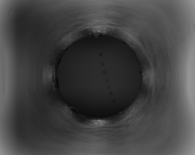 X0000089350233200706151107
