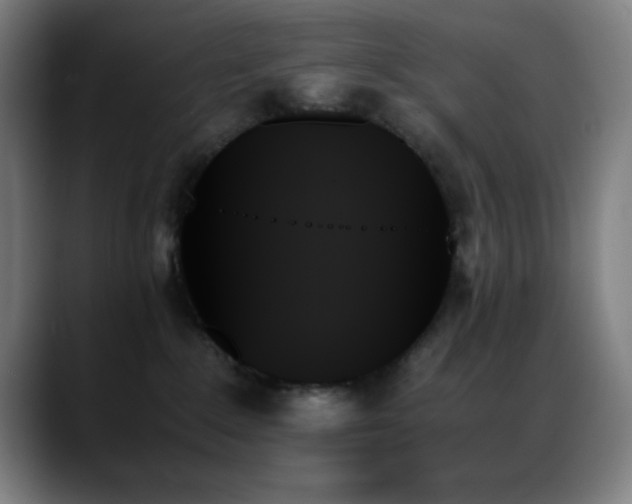 X0000089350235200706151107