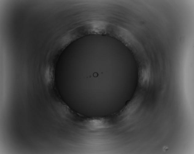 X0000089350236200706151107