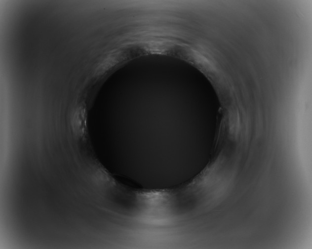 X0000089350237200706151107