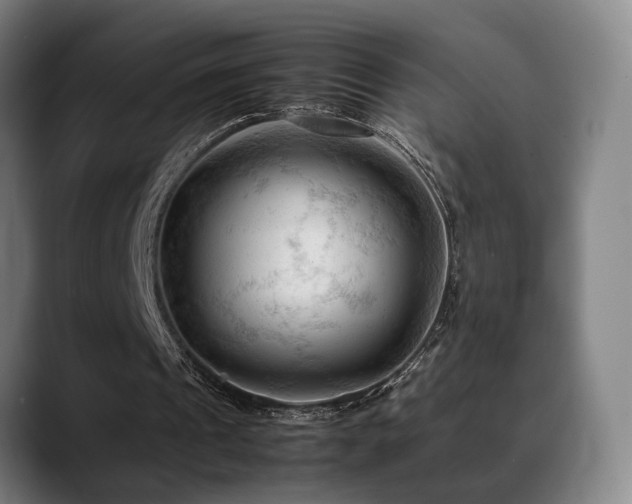 X0000089350241200706151106