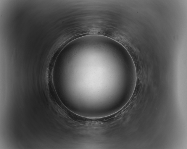 X0000089350242200706151106