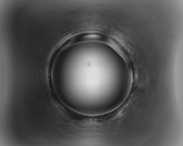 X0000089350244200706151106