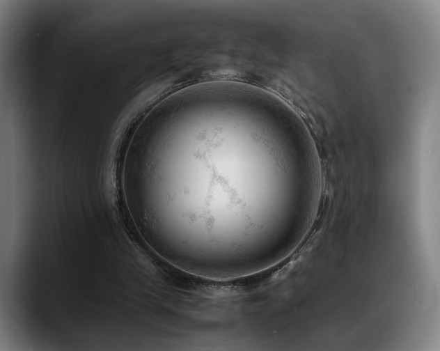 X0000089350245200706151106