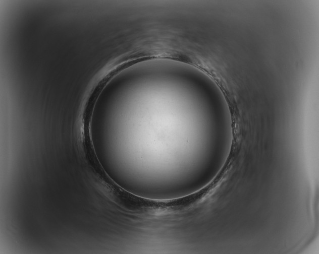 X0000089350246200706151106