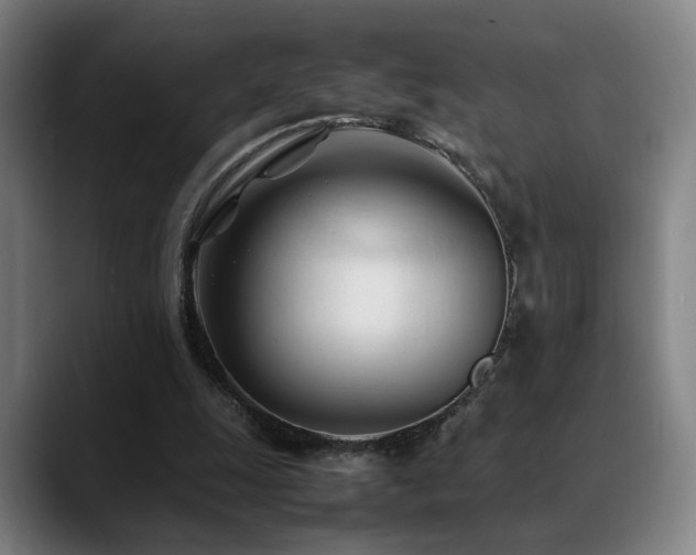 X0000089350247200706151106