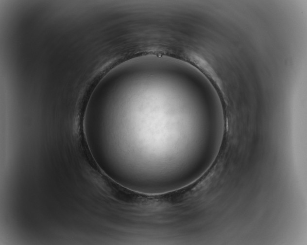 X0000089350249200706151106