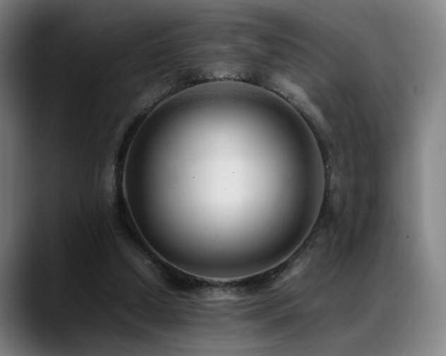 X0000089350250200706151106