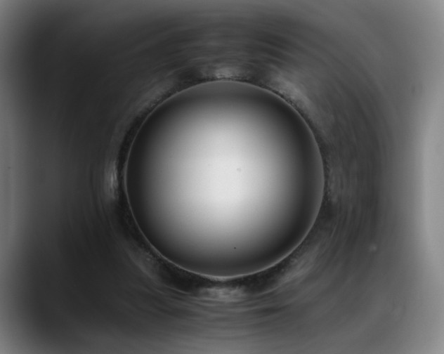 X0000089350251200706151106