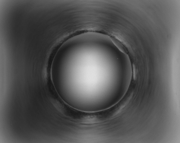 X0000089350252200706151106