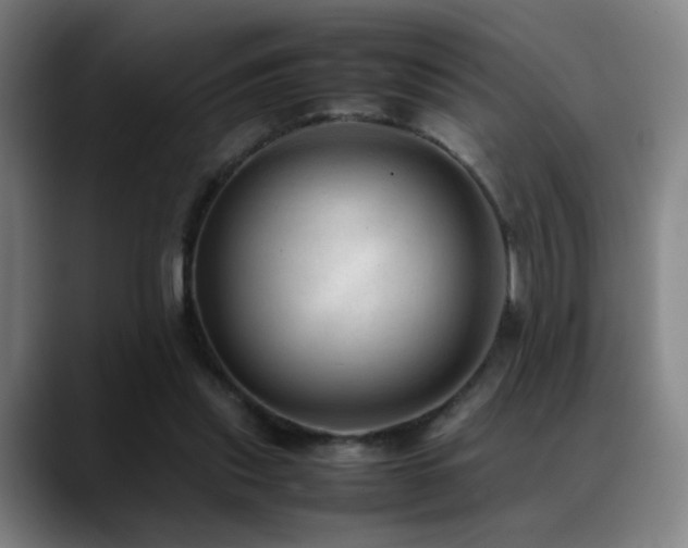 X0000089350253200706151106