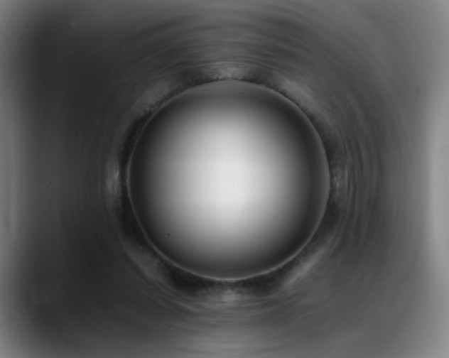 X0000089350254200706151106