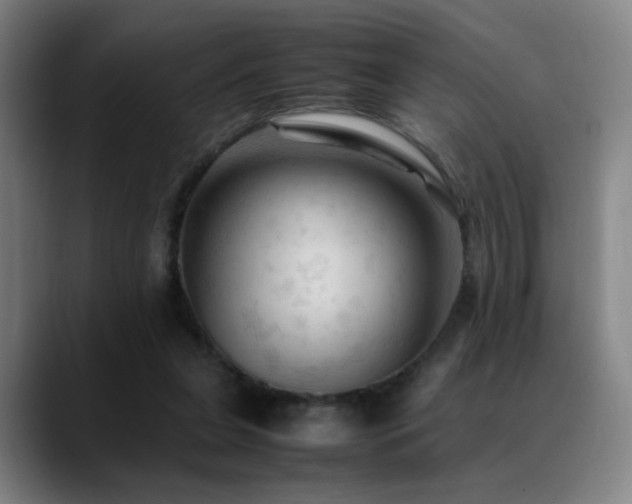X0000089350255200706151106