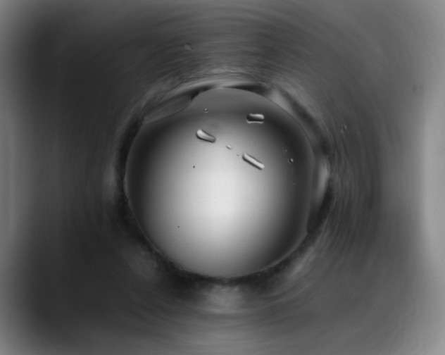 X0000089350256200706151106