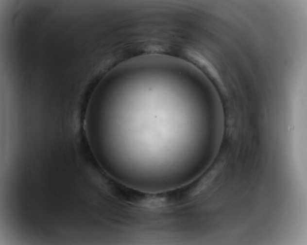 X0000089350257200706151106