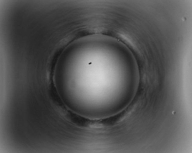 X0000089350258200706151106