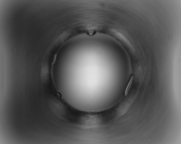 X0000089350260200706151106