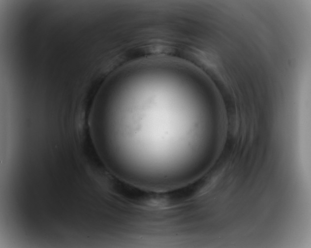 X0000089350263200706151107