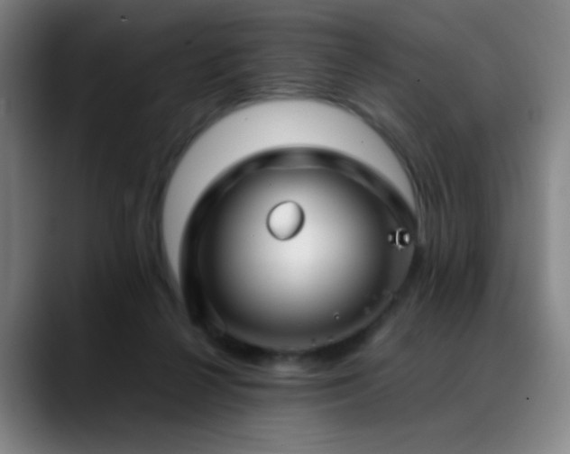 X0000089350264200706151107