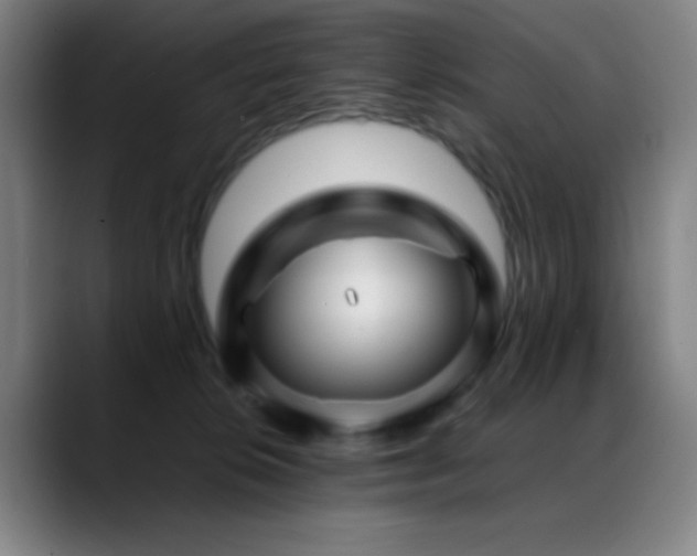 X0000089350276200706151107