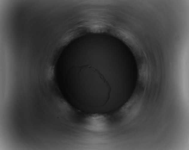 X0000089350278200706151107