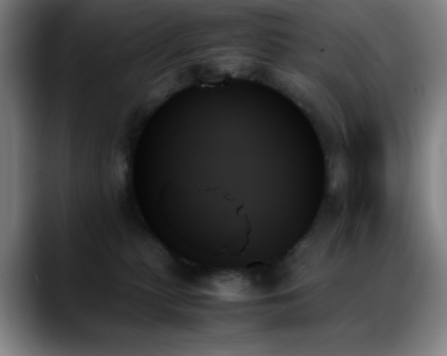 X0000089350279200706151107