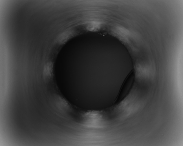X0000089350280200706151107