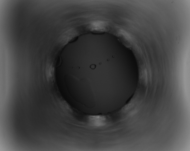 X0000089350281200706151107
