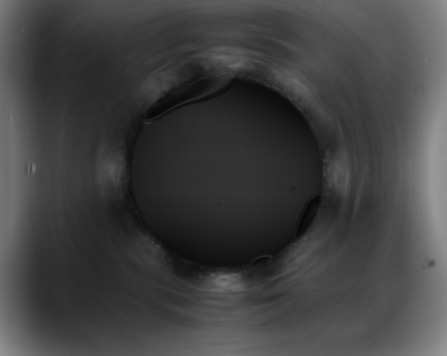 X0000089350283200706151107