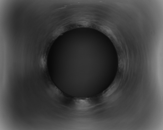 X0000089350285200706151107