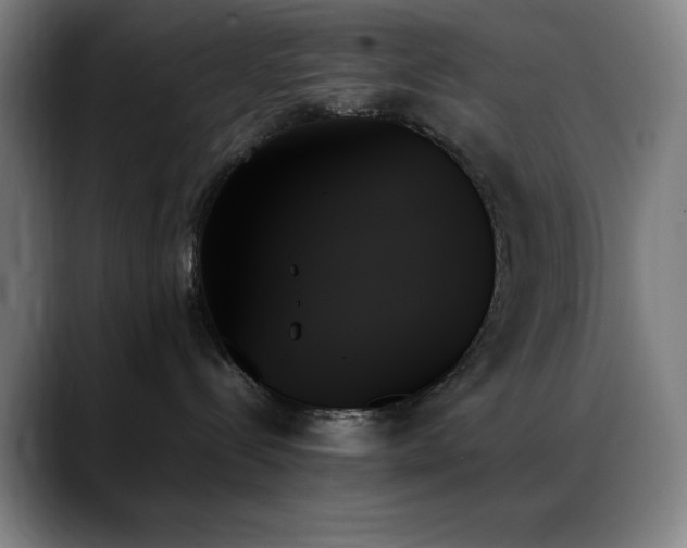 X0000089350288200706151107