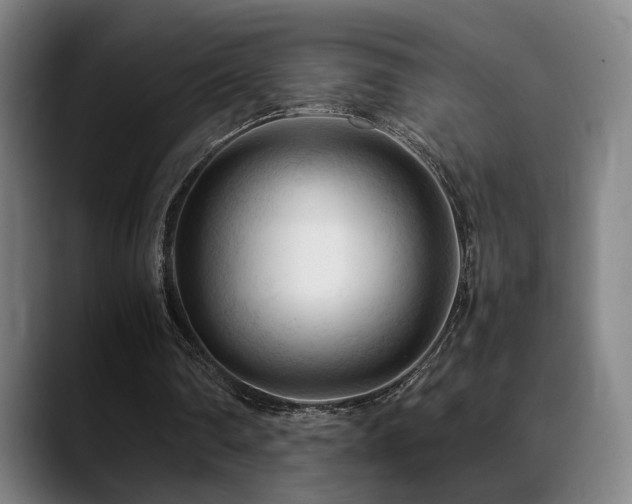 X0000089350290200706151106
