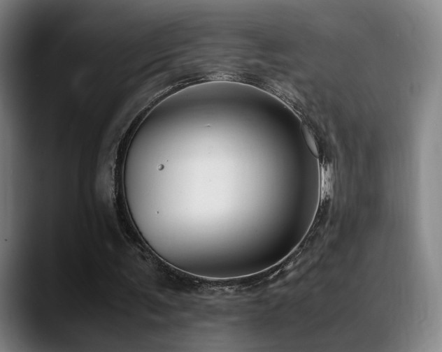 X0000089350291200706151106