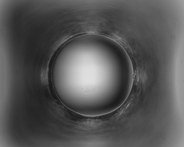 X0000089350292200706151106