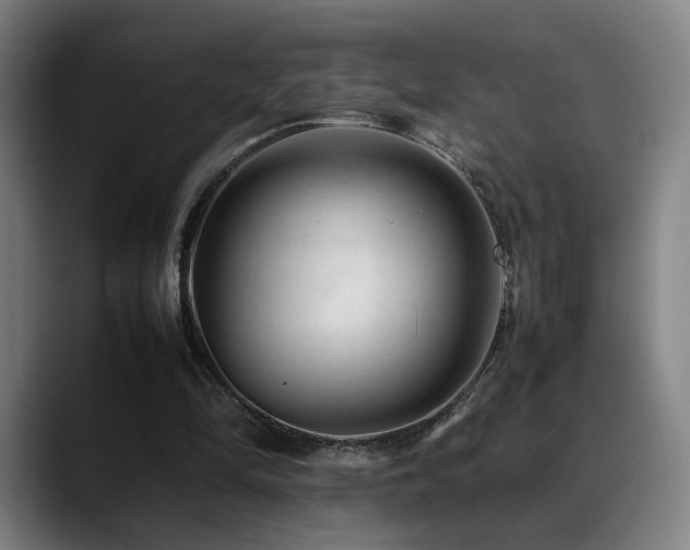 X0000089350294200706151106