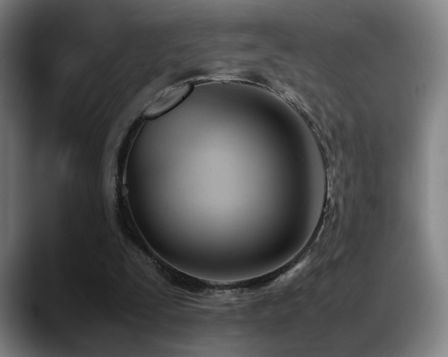 X0000089350295200706151106