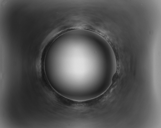 X0000089350296200706151106