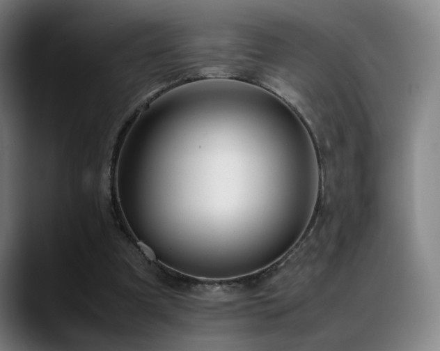 X0000089350297200706151106
