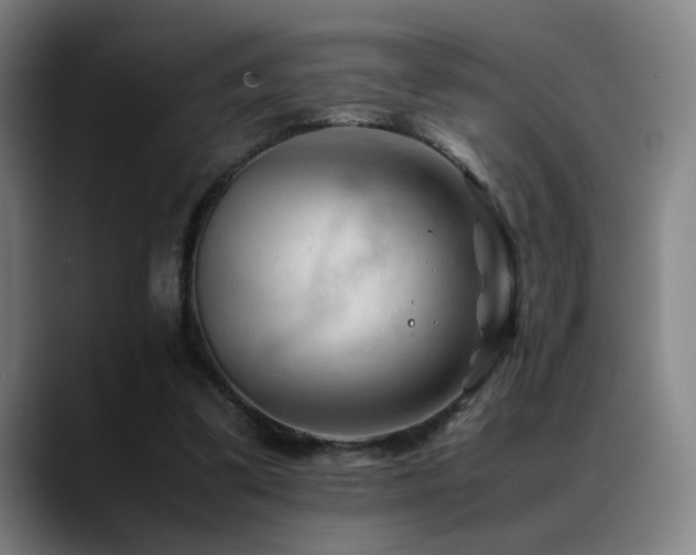 X0000089350299200706151106
