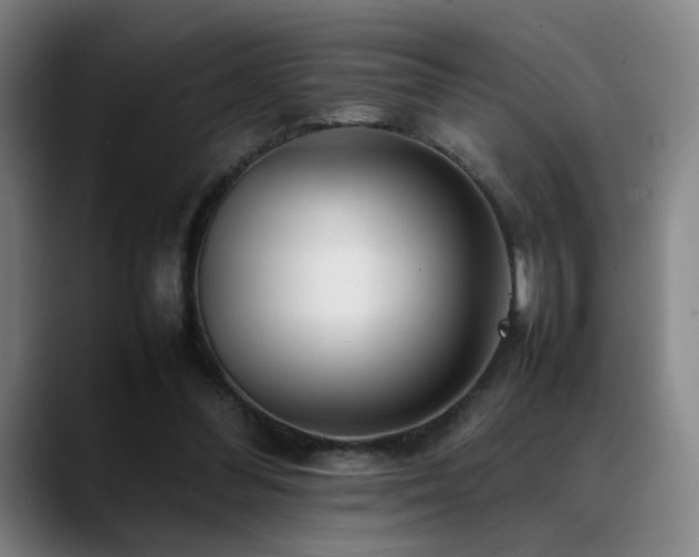 X0000089350300200706151106