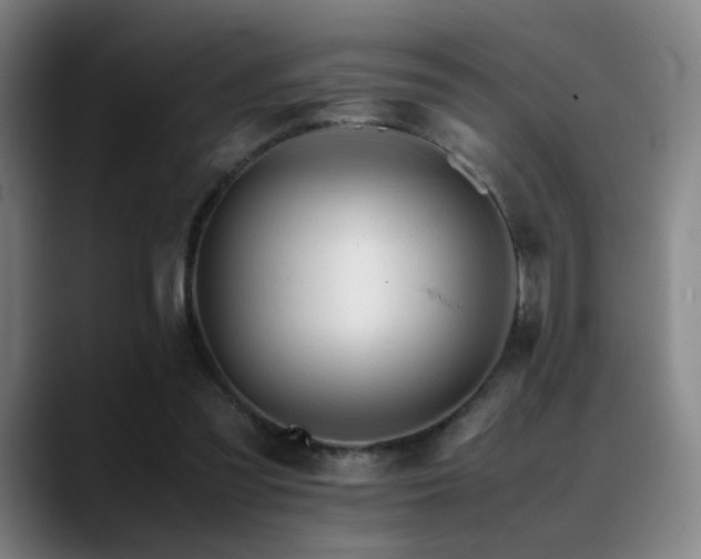 X0000089350301200706151106