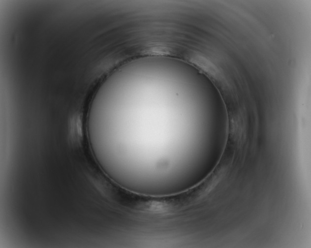 X0000089350302200706151106
