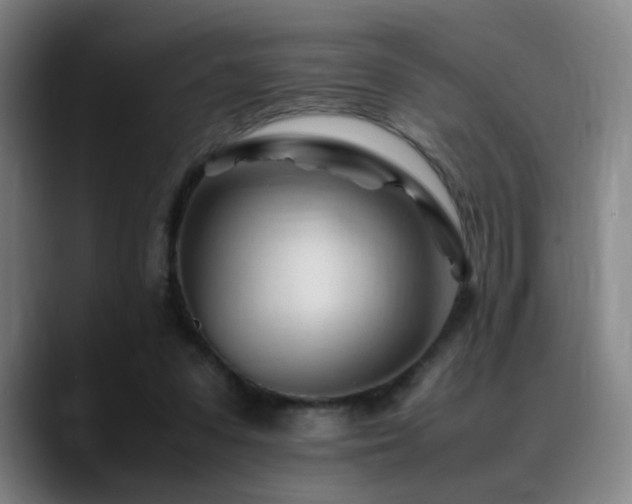 X0000089350303200706151106