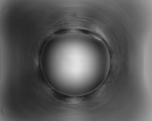 X0000089350305200706151106
